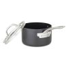 Viking Hard Anodized Nonstick Saucepan | 2-Quart 2 Viking Hard Anodized Nonstick Saucepan | 2-Quart -STAUB Shop 51dci5phztl. ac sl1500